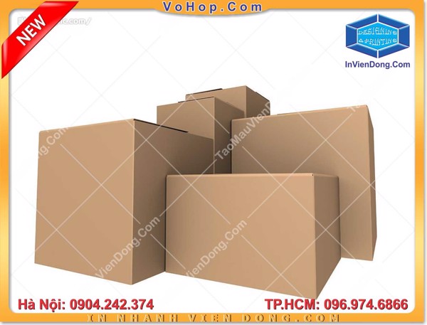In vỏ hộp giấy Duplex | In vo hop giay Duplex | Địa chỉ in thùng carton giá rẻ Hà Nội